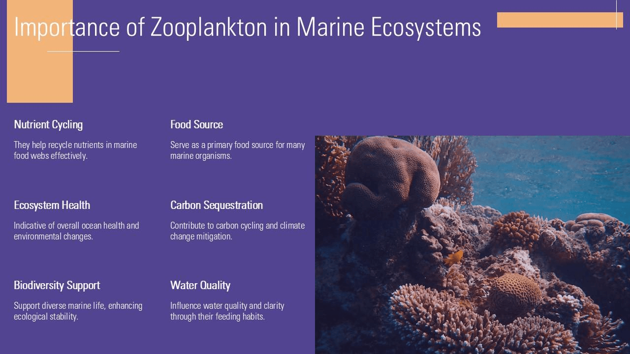 Blue Carbon Policy Brief for Coastal Decision-Makers