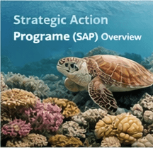 SEA LME Governance Outlook 2026